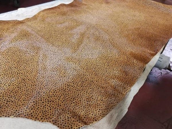 Napa animal print